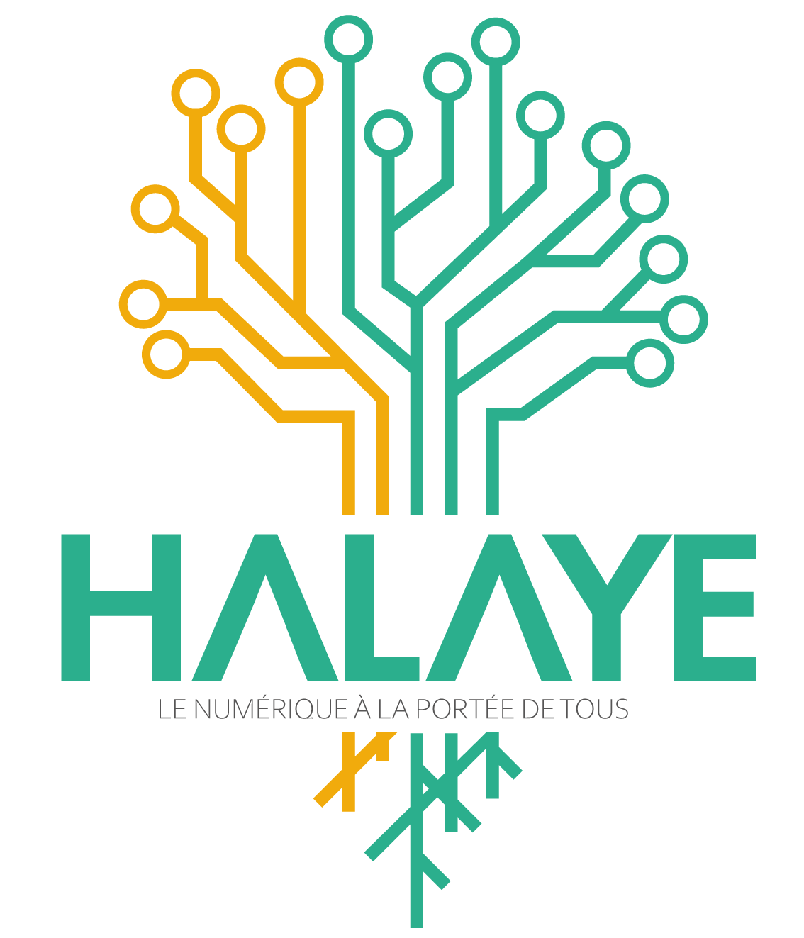 Halaye